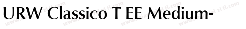 URW Classico T EE Medium字体转换